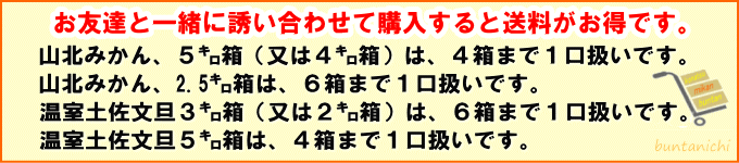 1個口発送のご案内